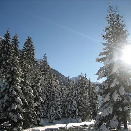 Arve Sankt Leonhard im Pitztal