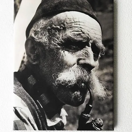 Arve *