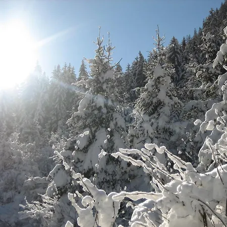 Arve * St. Leonhard im Pitztal