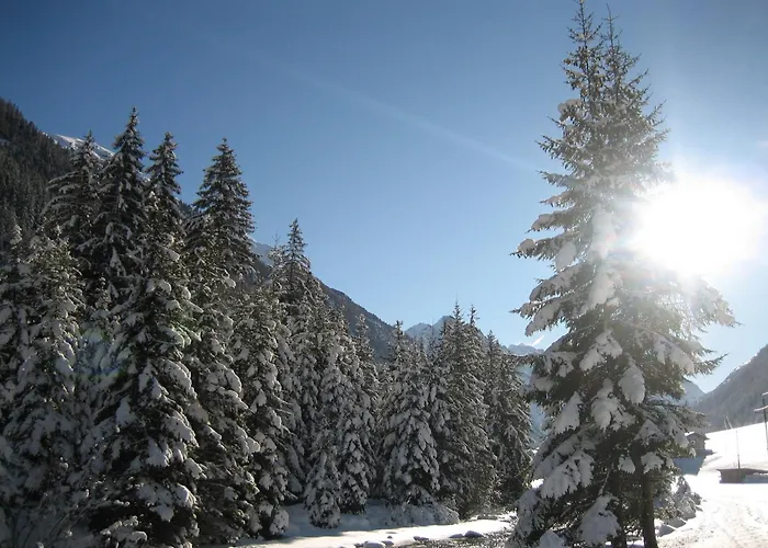Arve St. Leonhard im Pitztal