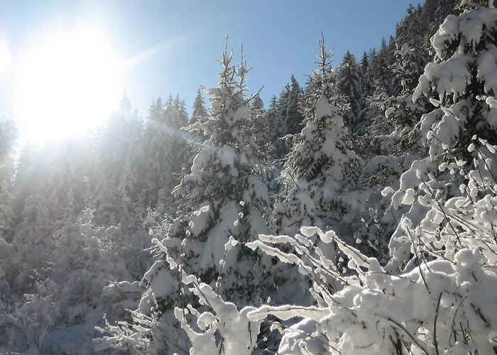 Arve * St. Leonhard im Pitztal