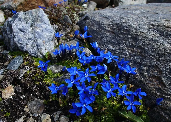 Arve Apartament St. Leonhard im Pitztal